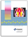 Staodyn Annual Report