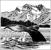 Wildlife illustration for Alaska Travel Adventures